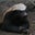 Landon Estay's profile image