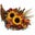 ShowcaseOf Flowers's profile image