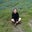 Christine Barton-Holmes's profile image