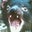 Marie D's profile image