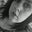 Allison Faye's profile image