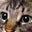 Connie C.'s profile image
