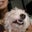 missreccamayk's profile image
