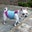 Bobbette Taylor's profile image