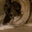 Magi Ruiz Oates's profile image