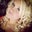 Jenny Wells's profile image