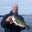 Adam Strunz's profile image