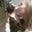 Heather's profile image