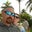 Michael A's profile image