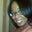 Kathryn's profile image
