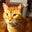 Amy Newman's profile image