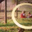 Sarah M's profile image