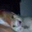 Laureen Woolwine's profile image