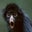 Corey T's profile image