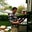 Steve Bergstrom's profile image