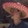 Casey Slota's profile image