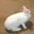 Drina's profile image