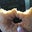 Terri Mann-Lamb's profile image