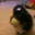Jasmine Porostovsky's profile image