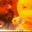 Wil D. Rhyne's profile image