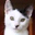tim Aalbers's profile image
