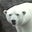 Yukon K's profile image