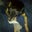 Richey Vickers's profile image