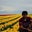 Priju K Padiyath's profile image