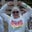 Taylor Brockmeyer's profile image