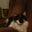 Kim Kinsler's profile image