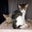 Carolyn M's profile image