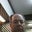 michael edmundson's profile image