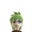Matthew Hervan's profile image
