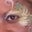 Cami Key's profile image