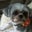 Nancy Beck's profile image