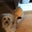 Shelley Rivlin's profile image