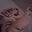 Donald Brochhausen's profile image