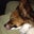 Jacob Kecki's profile image