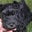 DrHilda Carpenter's profile image