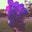 Andrew Regal's profile image