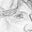 Heather Shew's profile image