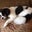 Kathie Beck's profile image