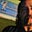 Samy In-StockFoto's profile image