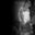 Jessica Ayres's profile image
