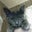 Karen Vincent's profile image