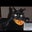 Sharon's profile image