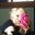 Liz Smith's profile image