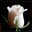 Valarie Miles's profile image