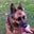 Marty Fricke's profile image