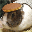 Sveen Þorskur 바이트 aus Schwelm's profile image